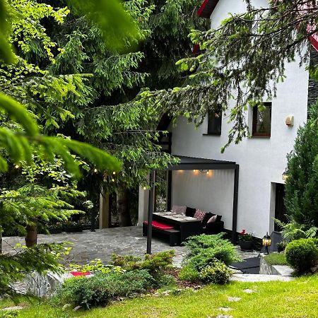 Mountain Chalet - Cabana La Muntele Baisorii Muntele Cacovei  Екстериор снимка
