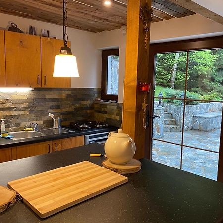 Mountain Chalet - Cabana La Muntele Baisorii Muntele Cacovei  Екстериор снимка