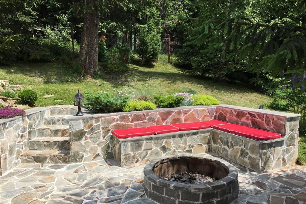 Mountain Chalet - Cabana La Muntele Baisorii Muntele Cacovei  Екстериор снимка