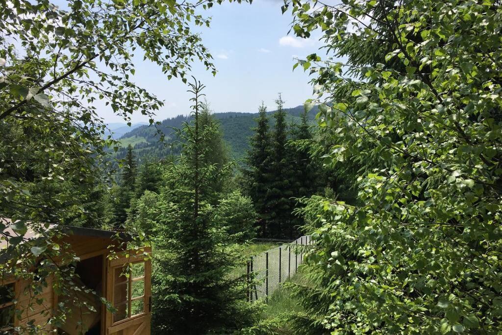 Mountain Chalet - Cabana La Muntele Baisorii Muntele Cacovei  Екстериор снимка