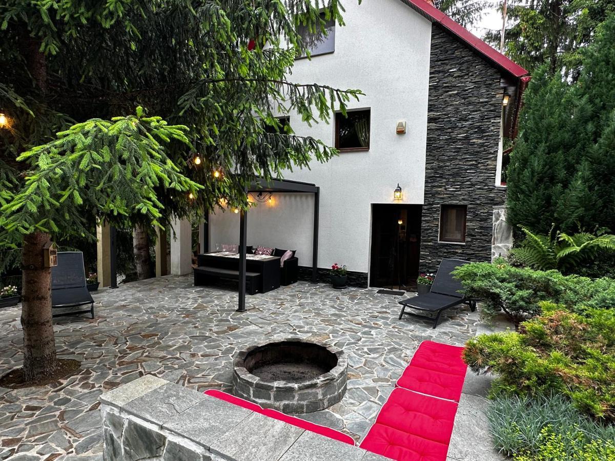 Mountain Chalet - Cabana La Muntele Baisorii Muntele Cacovei  Екстериор снимка