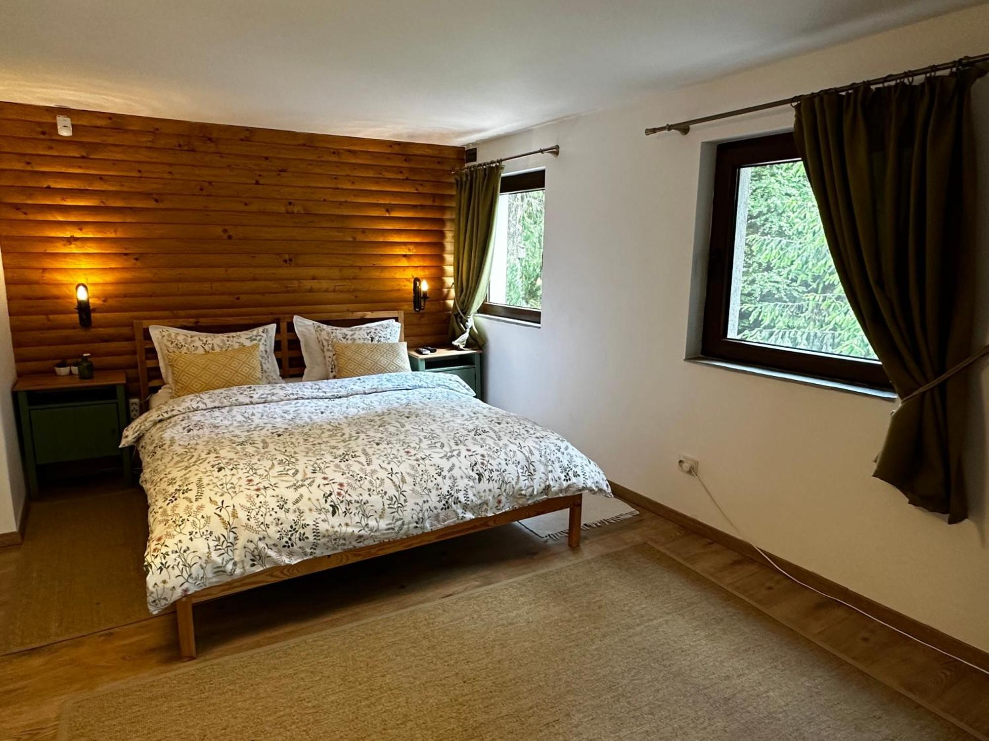 Mountain Chalet - Cabana La Muntele Baisorii Muntele Cacovei  Екстериор снимка